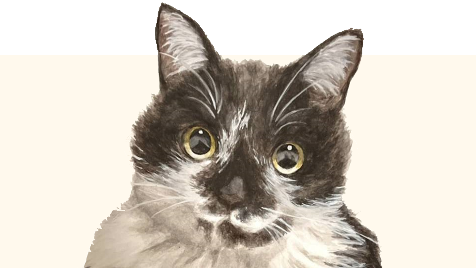 AURA CAR LABO のシンボルねこ、ぱるむのイラスト